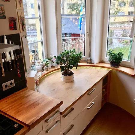 In Stadtvilla Mit Terrasse Und Garten 公寓 纽伦堡