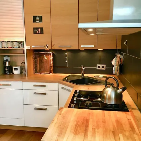 In Stadtvilla Mit Terrasse Und Garten Appartamento